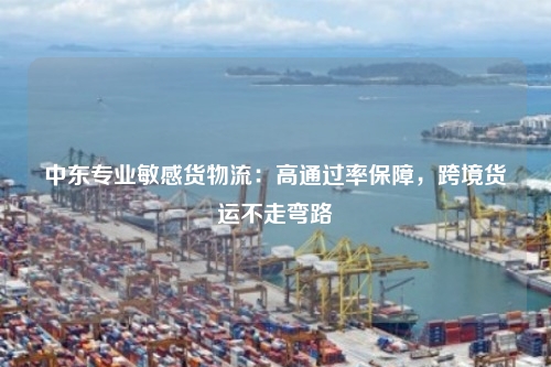 中东专业敏感货物流：高通过率保障，跨境货运不走弯路