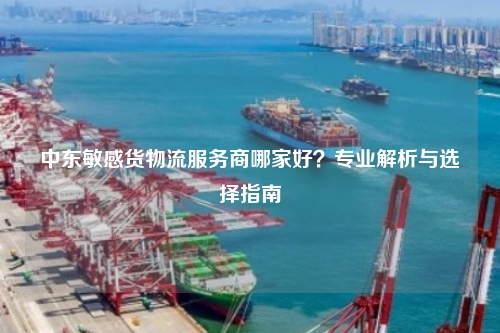 中东敏感货物流服务商哪家好？专业解析与选择指南