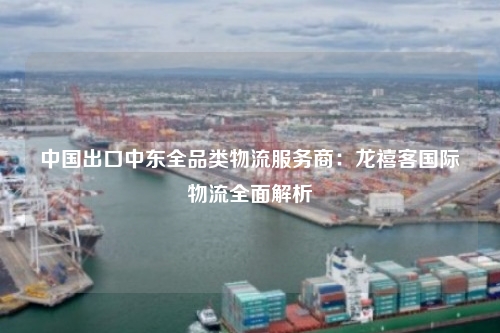 中国出口中东全品类物流服务商：龙禧客国际物流全面解析