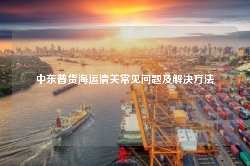 中东普货海运清关常见问题及解决方法