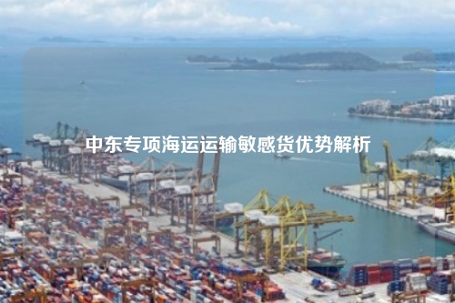 中东专项海运运输敏感货优势解析