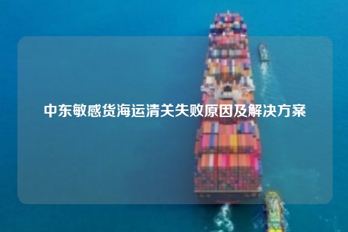 中东敏感货海运清关失败原因及解决方案