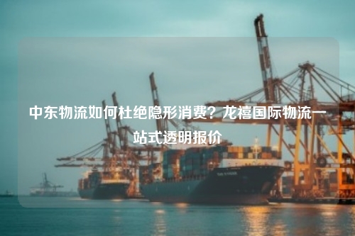 中东物流如何杜绝隐形消费？龙禧国际物流一站式透明报价