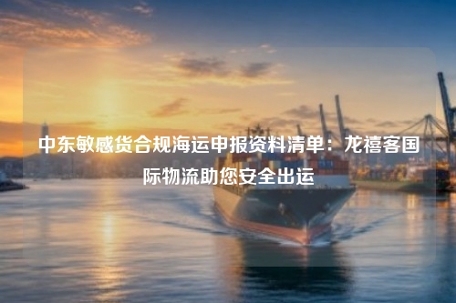 中东敏感货合规海运申报资料清单:龙禧客国际物流助您安全出运