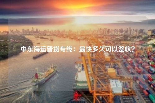 中东海运普货专线：最快多久可以签收？