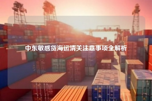 中东敏感货海运清关注意事项全解析
