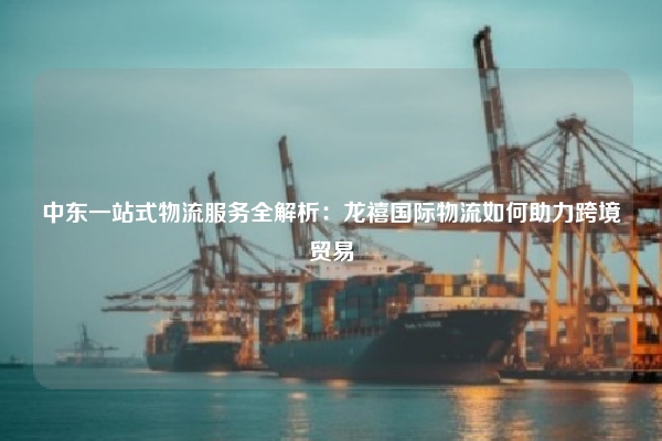 中东一站式物流服务全解析:龙禧国际物流如何助力跨境贸易