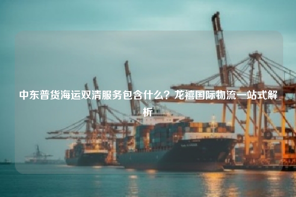 中东普货海运双清服务包含什么?龙禧国际物流一站式解析