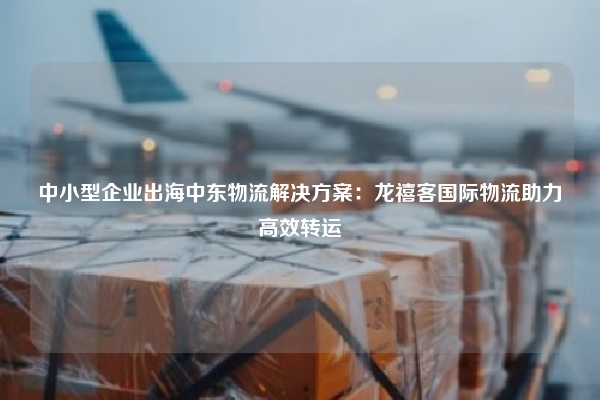 中小型企业出海中东物流解决方案：龙禧客国际物流助力高效转运