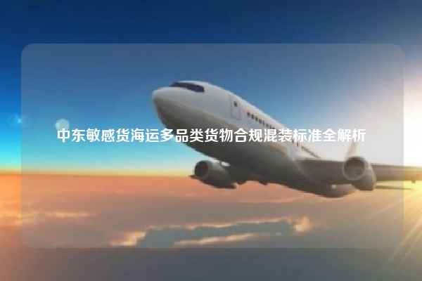 中东敏感货海运多品类货物合规混装标准全解析