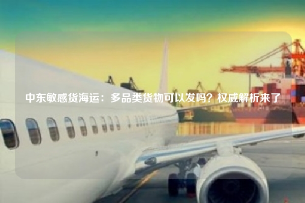 中东敏感货海运：多品类货物可以发吗？权威解析来了