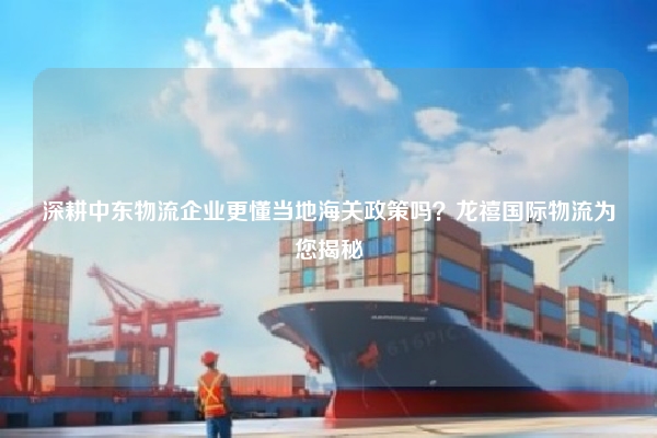 深耕中东物流企业更懂当地海关政策吗？龙禧国际物流为您揭秘