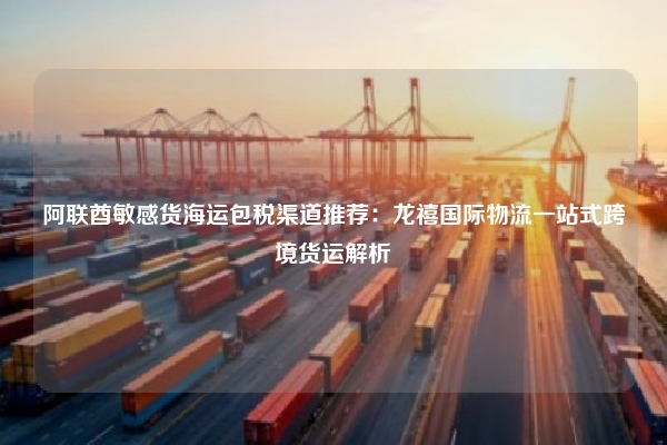 阿联酋敏感货海运包税渠道推荐：龙禧国际物流一站式跨境货运解析