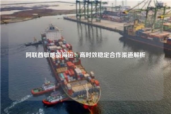 阿联酋敏感货海运：高时效稳定合作渠道解析