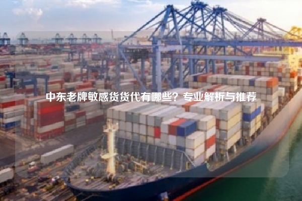 中东老牌敏感货货代有哪些?专业解析与推荐