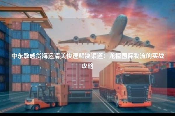 中东敏感货海运清关快速解决渠道：龙禧国际物流的实战攻略