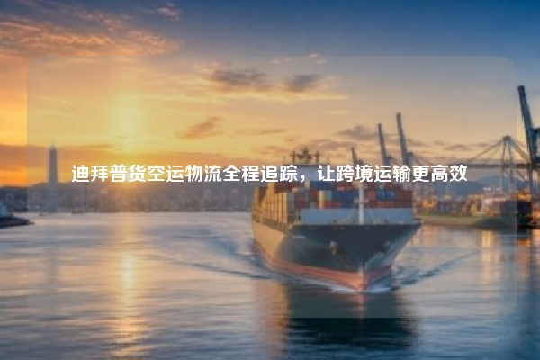 迪拜普货空运物流全程追踪，让跨境运输更高效