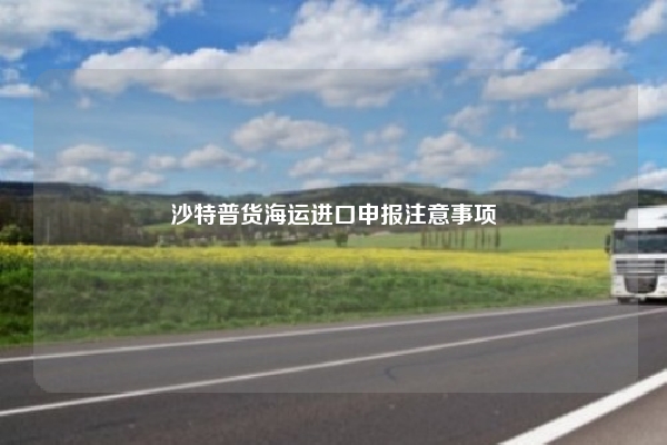 沙特普货海运进口申报注意事项
