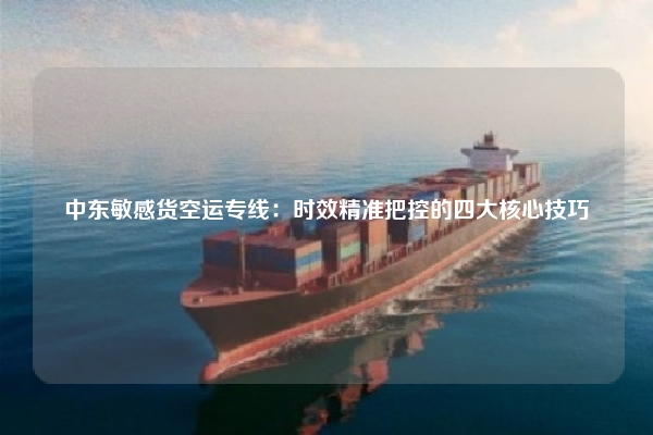 中东敏感货空运专线：时效精准把控的四大核心技巧