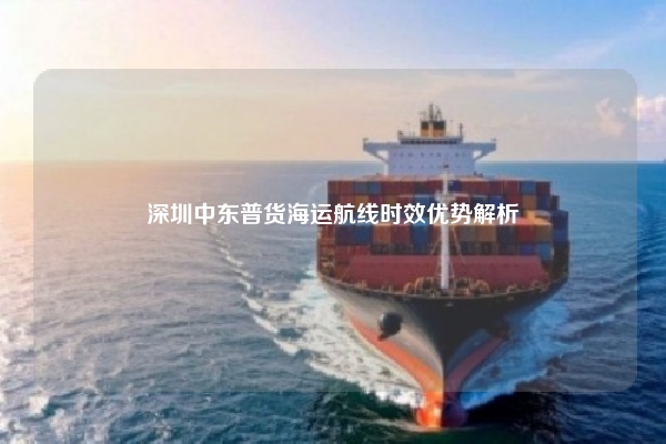 深圳中东普货海运航线时效优势解析