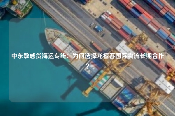 中东敏感货海运专线：为何选择龙禧客国际物流长期合作？