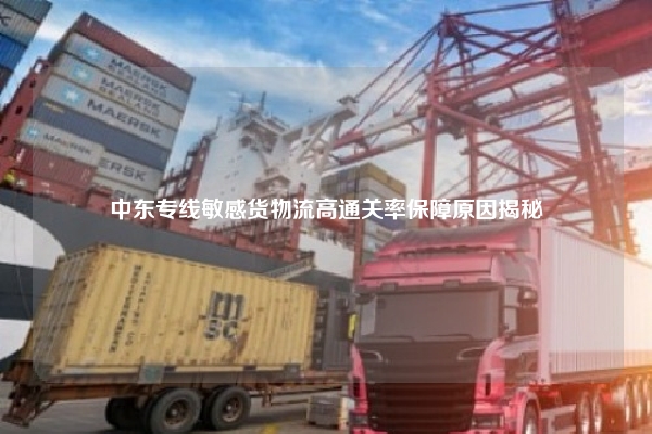 中东专线敏感货物流高通关率保障原因揭秘