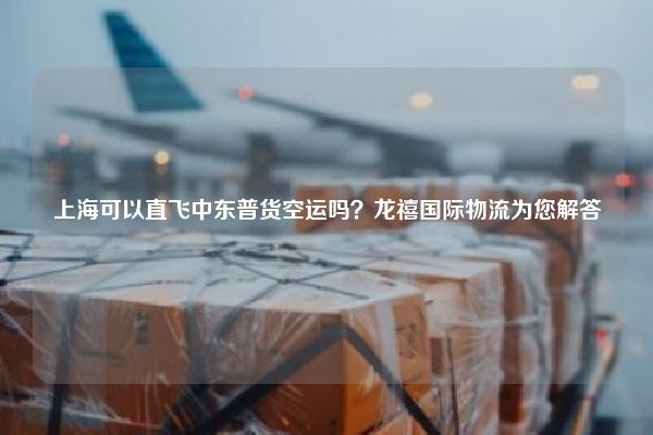 上海可以直飞中东普货空运吗？龙禧国际物流为您解答