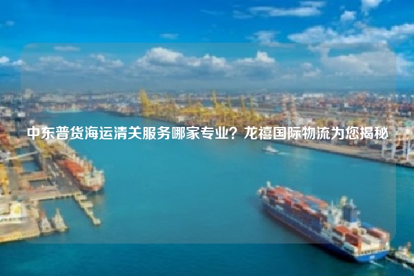 中东普货海运清关服务哪家专业？龙禧国际物流为您揭秘