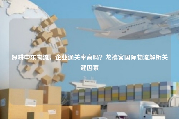 深耕中东物流，企业通关率高吗？龙禧客国际物流解析关键因素