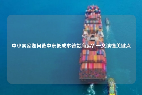 中小卖家如何选中东低成本普货海运？一文读懂关键点