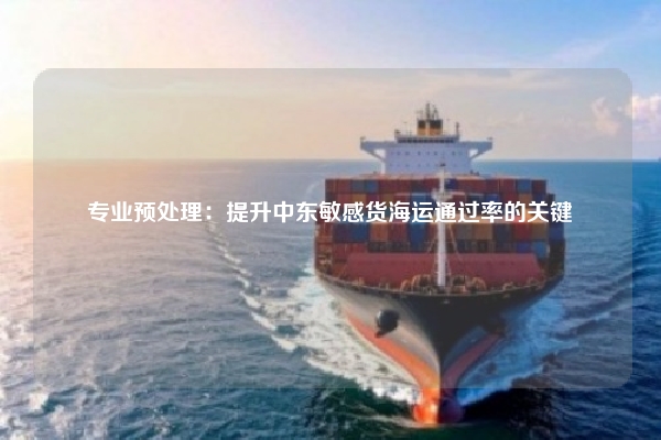 专业预处理：提升中东敏感货海运通过率的关键
