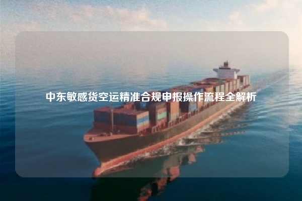 中东敏感货空运精准合规申报操作流程全解析