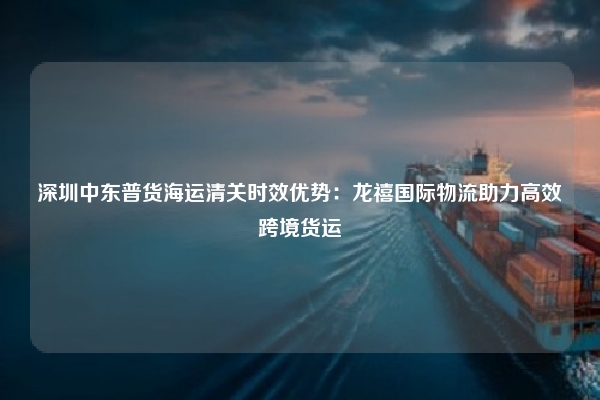 深圳中东普货海运清关时效优势：龙禧国际物流助力高效跨境货运