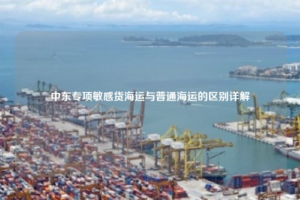 中东专项敏感货海运与普通海运的区别详解