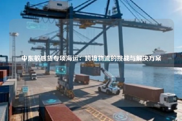 中东敏感货专项海运：跨境物流的挑战与解决方案