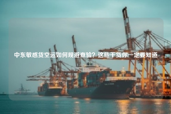 中东敏感货空运如何规避查验？这些干货你一定要知道