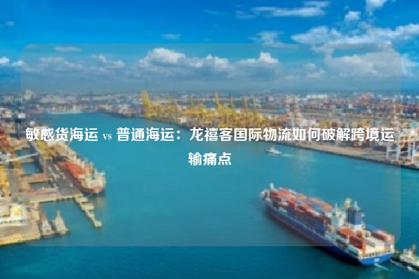 敏感货海运 vs 普通海运：龙禧客国际物流如何破解跨境运输痛点