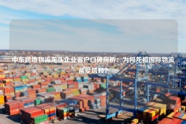 中东跨境物流龙头企业客户口碑探析：为何龙禧国际物流备受信赖？