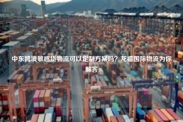 中东跨境敏感货物流可以定制方案吗？龙禧国际物流为你解答