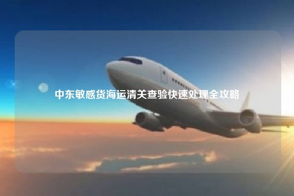 中东敏感货海运清关查验快速处理全攻略
