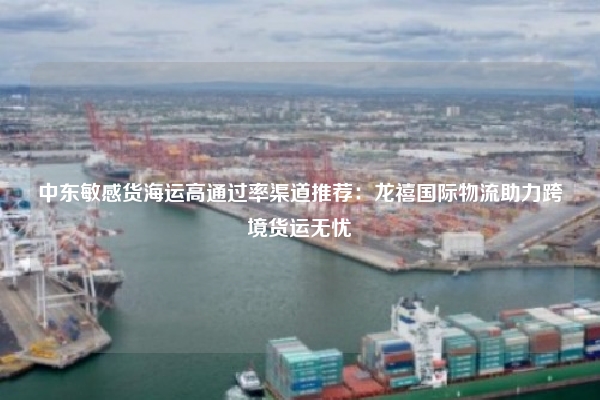 中东敏感货海运高通过率渠道推荐：龙禧国际物流助力跨境货运无忧