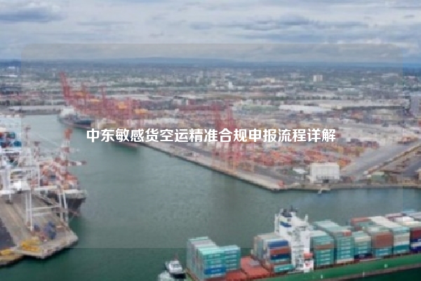 中东敏感货空运精准合规申报流程详解