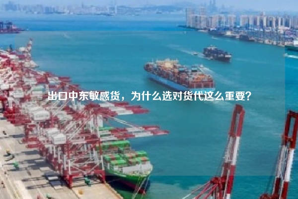出口中东敏感货，为什么选对货代这么重要？