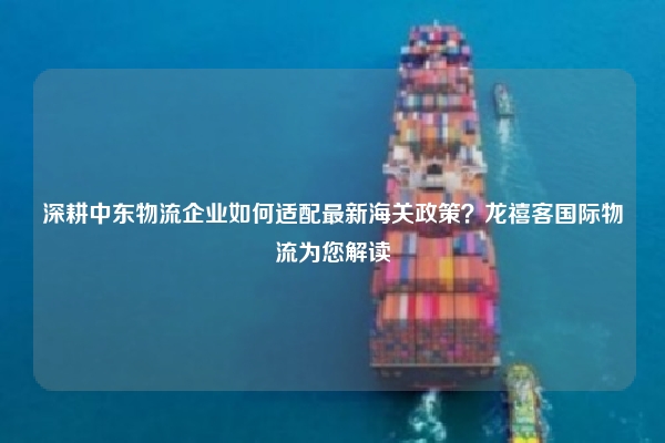 深耕中东物流企业如何适配最新海关政策？龙禧客国际物流为您解读