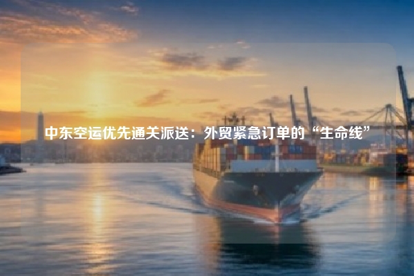 中东空运优先通关派送：外贸紧急订单的“生命线”