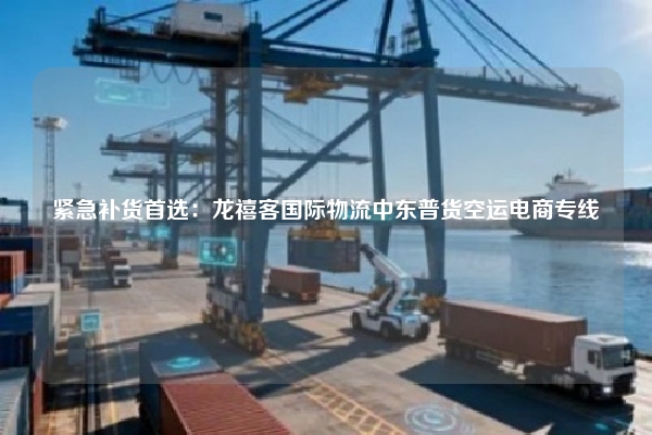 紧急补货首选：龙禧客国际物流中东普货空运电商专线