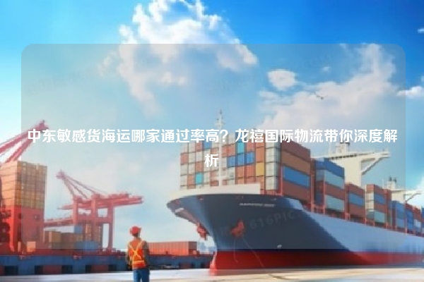 中东敏感货海运哪家通过率高？龙禧国际物流带你深度解析