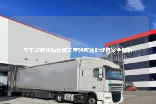 中东敏感货海运清关查验应急处理方案全解析
