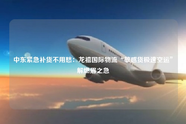 中东紧急补货不用愁：龙禧国际物流“敏感货极速空运”解燃眉之急
