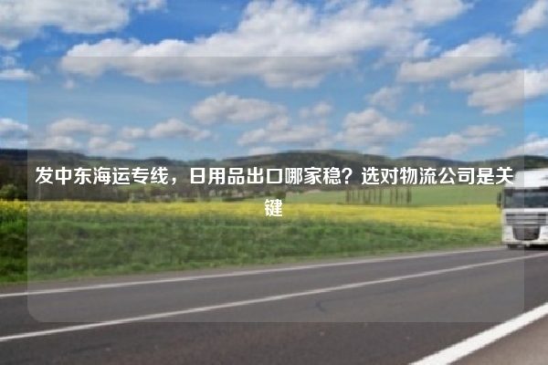 发中东海运专线，日用品出口哪家稳？选对物流公司是关键